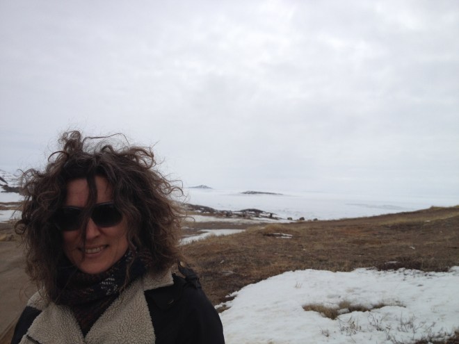May in the Canadian Arctic - Donna Bilak